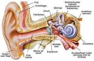 Kulak Akıntıları ve Nedenleri